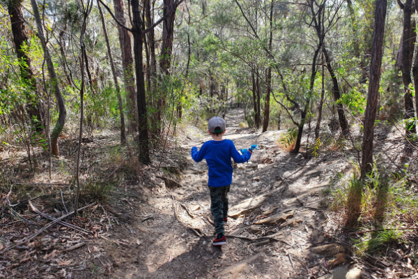 The Shire’s best family-friendly bushwalks — Mums of the Shire