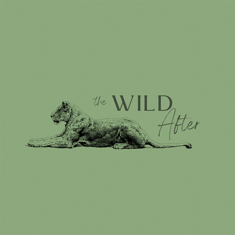 The Wild After – Birth Debriefing & Support