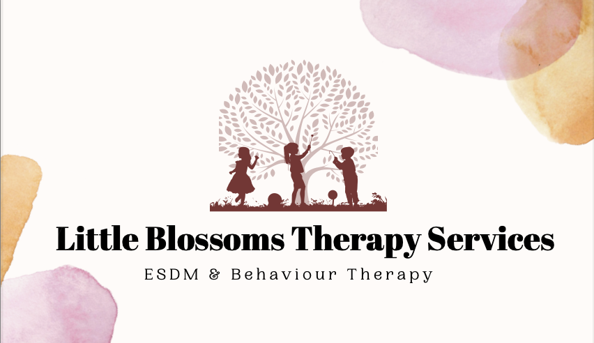 (20% off) ESDM & Behaviour therapy (In-home or at preschool) – initial assessment/visit!