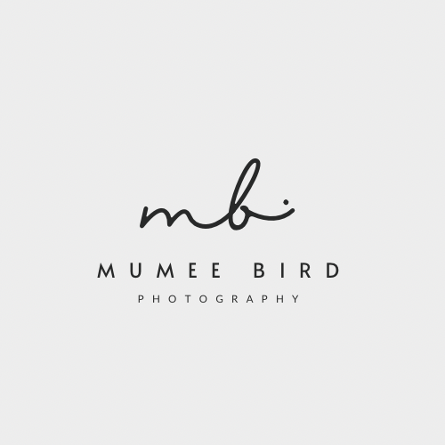 Mumee Bird Photography