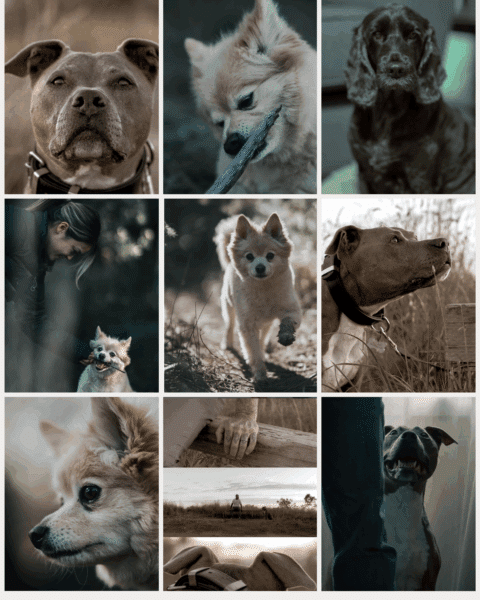 Sonia Anna Photography – Cinematic, Moody, and Timeless Photography