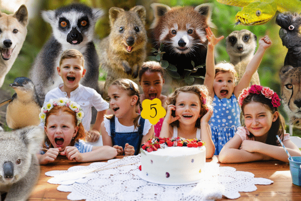 Unleash Your Inner Wild with a Symbio Zoo Party!